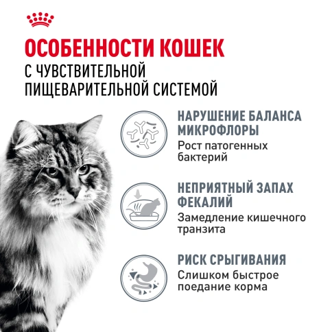 Сухой корм Royal Canin Digestive Care для кошек, 2 кг фото 2
