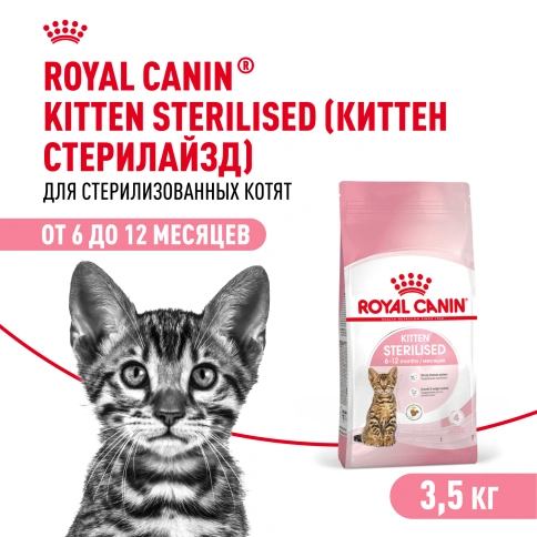 Сухой корм Royal Canin Kitten Sterilised для котят, 3.5 кг фото 1