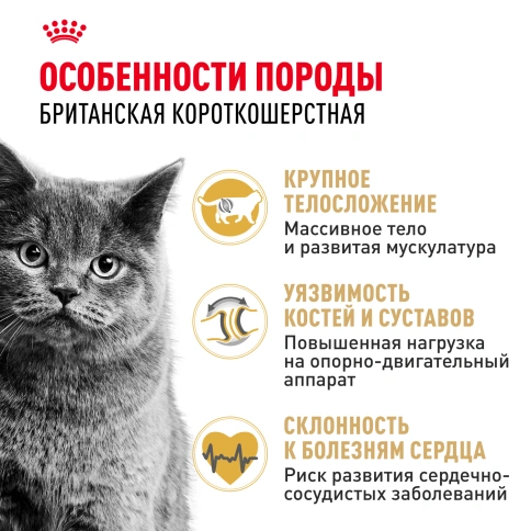 Сухой корм Royal Canin British Shorthair для кошек породы британская короткошерстная, 400 г фото 2