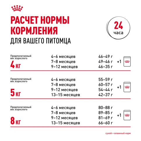 Сухой корм Royal Canin Kitten Maine Coon для котят, 400 г фото 9