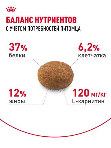 Сухой корм Royal Canin Sterilised для кастрированных котов и стерилизованных кошек, фото 24