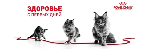 Сухой корм Royal Canin Kitten Sterilised для котят, 3.5 кг фото 13