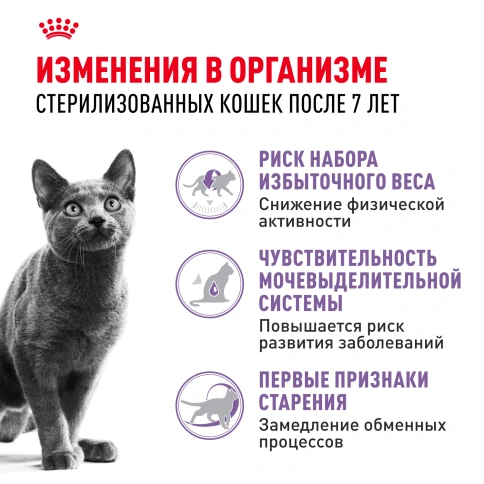 Сухой корм Royal Canin Sterilised 7+ для стерилизованных кошек и кастрированных котов, 3.5 кг фото 2