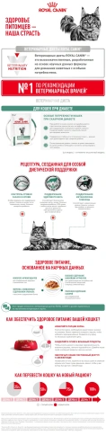 Сухой корм Royal Canin Diabetic для кошек, 350 г фото 5