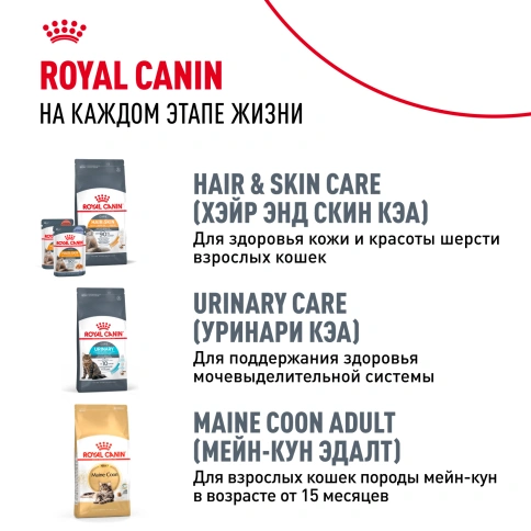 Сухой корм Royal Canin Kitten Maine Coon для котят, 2 кг фото 10