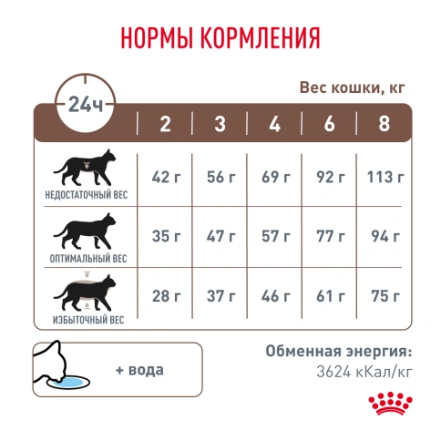 Сухой корм Royal Canin Gastrointestinal Hairball для кошек, 2 кг фото 5