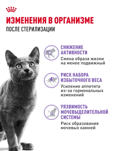 Сухой корм Royal Canin Sterilised для кастрированных котов и стерилизованных кошек, фото 24