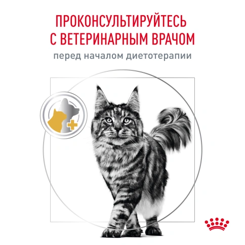 Сухой корм Royal Canin Urinary S/O для кошек при мочекаменной болезни, 3.5 кг фото 9