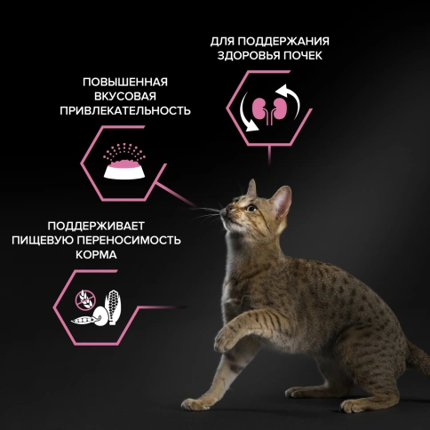 Сухой корм Purina Pro Plan Delicate для взрослых кошек с чувствительным пищеварением, с индейкой, 3 кг фото 2