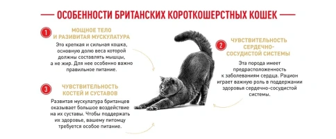 Сухой корм Royal Canin British Shorthair для кошек породы британская короткошерстная, 2 кг фото 18
