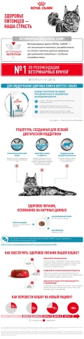 Сухой корм Royal Canin Skin & Coat для кошек, 1.5 кг фото 9