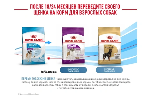 Сухой корм Royal Canin Giant Junior для щенков, 3.5 кг фото 14