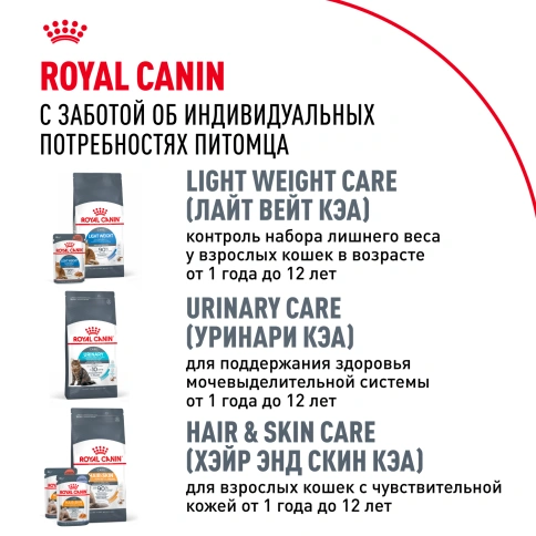 Сухой корм Royal Canin Maine Coon для кошек, 10 кг фото 9