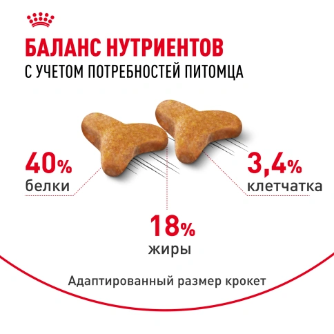 Сухой корм Royal Canin Bengal для кошек бенгальской породы, 2 кг фото 4