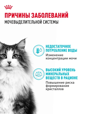 Сухой корм Royal Canin Urinary Care для кошек для профилактика МКБ, 4 кг фото 18