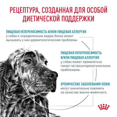 Сухой корм Royal Canin Hypoallergenic для собак, 4 кг фото 3