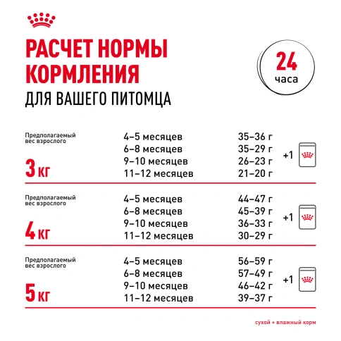 Сухой корм Royal Canin Kitten British Shorthair для котят, 400 г фото 9