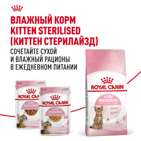 Сухой корм Royal Canin Kitten Sterilised для котят, 2 кг фото 8