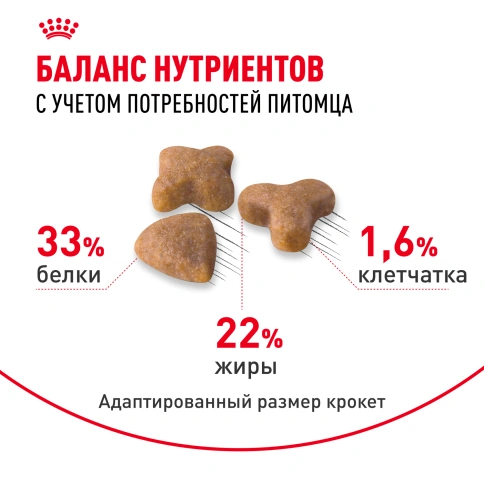 Сухой корм Royal Canin Sensible для кошек, 1.2 кг фото 5