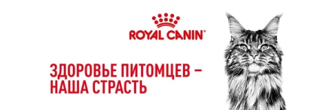Сухой корм Royal Canin Maine Coon для кошек, 10 кг фото 20