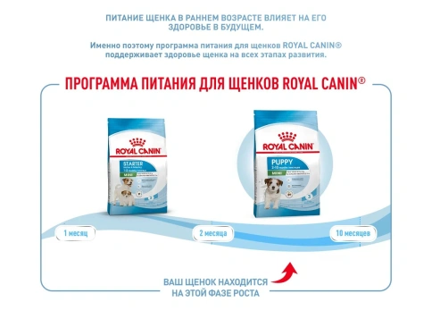 Сухой корм Royal Canin Mini Puppy для щенков, 4 кг фото 20