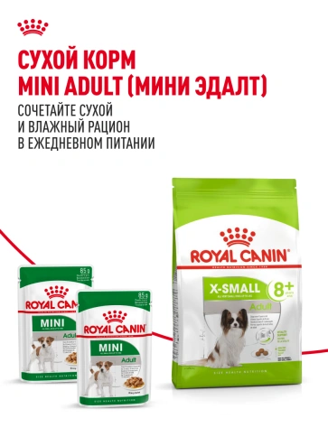 Сухой корм Royal Canin X-Small Adult для собак, 1.5 кг фото 20