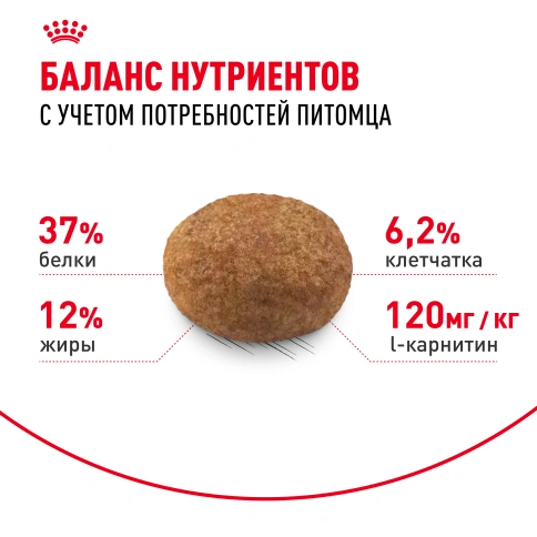 Сухой корм Royal Canin Sterilised для кастрированных котов и стерилизованных кошек, фото 23