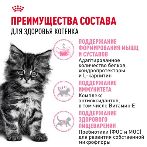 Сухой корм Royal Canin Kitten Maine Coon для котят, 400 г фото 3