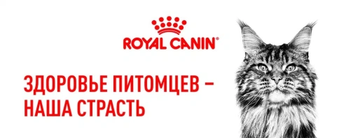 Сухой корм Royal Canin Sterilised для кастрированных котов и стерилизованных кошек, фото 18