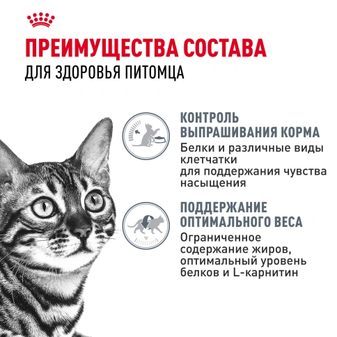 Влажный корм Royal Canin Appetite Control Care в желе для взрослых кошек, для контроля выпрашивания корма, пауч, 85 г фото 3