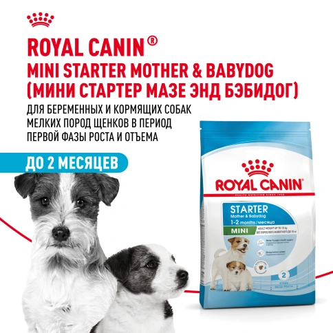 Сухой корм Royal Canin Mini Starter Mother & Babydog для щенков и кормящих сук, 8.5 кг фото 12