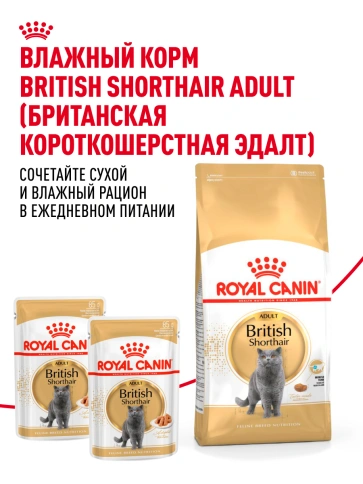 Сухой корм Royal Canin British Shorthair для кошек породы британская короткошерстная, 2 кг фото 26