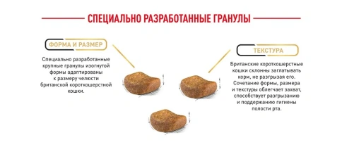 Сухой корм Royal Canin Maine Coon для кошек, 2 кг фото 20