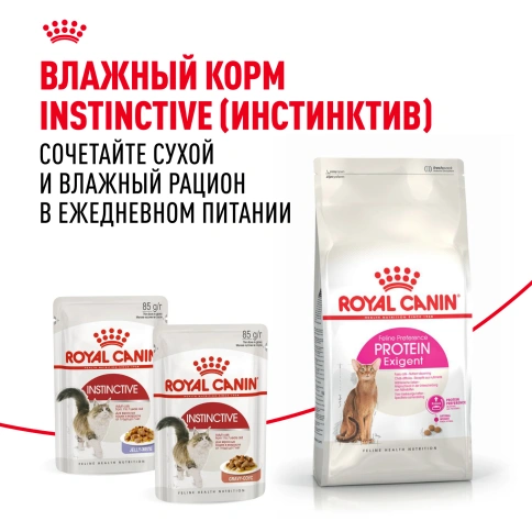 Сухой корм Royal Canin Protein Exigent для кошек, фото 8