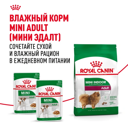 Сухой корм Royal Canin Mini Indoor Adult для собак, 500 г фото 8