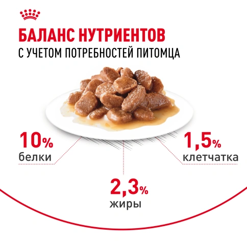 Влажный корм Royal Canin Light Weight Care в желе для взрослых кошек, склонных к полноте, пауч, 85 г фото 5