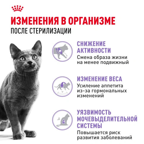 Сухой корм Royal Canin Sterilised для кастрированных котов и стерилизованных кошек, фото 2