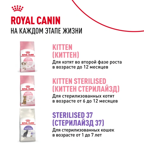 Сухой корм Royal Canin Kitten Sterilised для котят, 2 кг фото 9