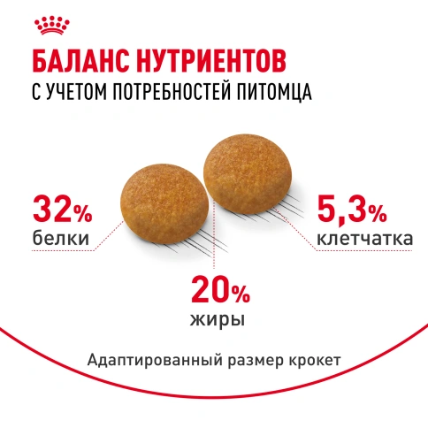 Сухой корм Royal Canin Siberian для кошек, 400 г фото 4