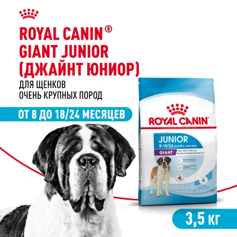 Сухой корм Royal Canin Giant Junior для щенков, 3.5 кг фото 1