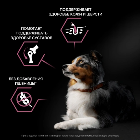 Сухой корм Purina Pro Plan Medium Adult Sensitive Skin для собак средних пород, лосось и рис, 18 кг фото 3