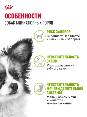 Сухой корм Royal Canin X-Small Adult для собак, 500 г фото 19