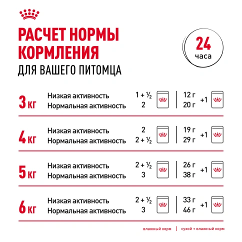 Сухой корм Royal Canin Persian для кошек персидской породы, 2 кг фото 9