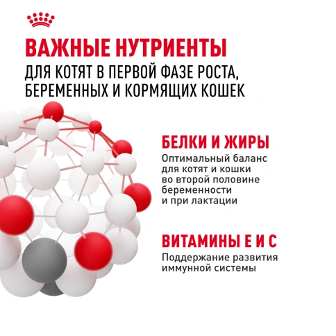 Сухой корм Royal Canin Mother & Babycat для котят, беременных и лактирующих кошек, 4 кг фото 5
