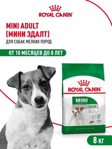 Сухой корм Royal Canin Mini Adult для взрослых собак, 8 кг фото 13