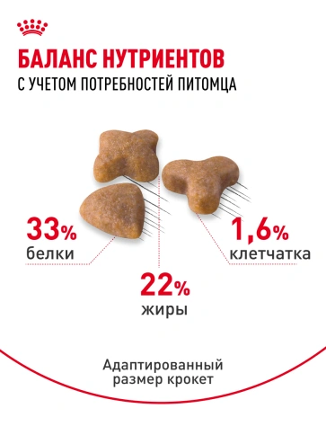 Сухой корм Royal Canin Sensible для кошек, 4 кг фото 19